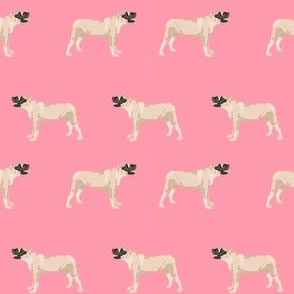 english mastiff dog breed pet fabric standing pink