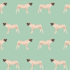 english mastiff dog breed pet fabric standing mint