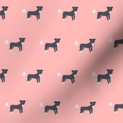 pitbull dog fabric funny fart pure breed pets pink