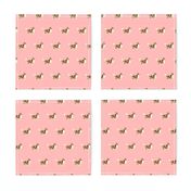 rough collie dog fabric funny fart pure breed pets pink