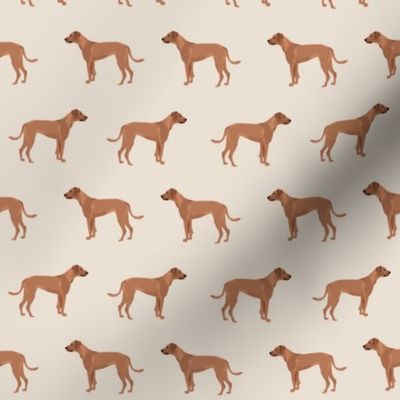rhodesian ridgeback dog breed pet fabric tan