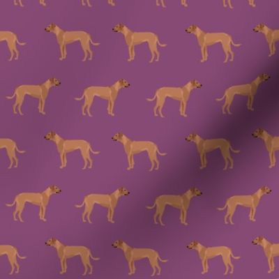 rhodesian ridgeback dog breed pet fabric purple