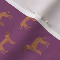 rhodesian ridgeback dog breed pet fabric purple