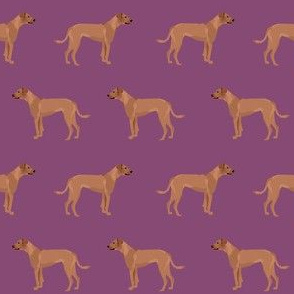 rhodesian ridgeback dog breed pet fabric purple