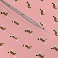 saint bernard dog fabric funny fart pure breed pets pink