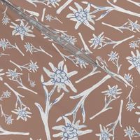 Edelweiss Lace Nr. 1 brown medium