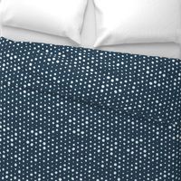 Going Dotty on Navy