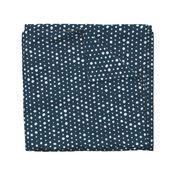 Going Dotty on Navy