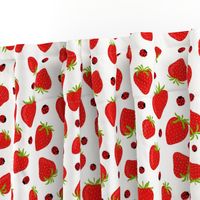 Strawberries and Ladybugs on White