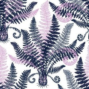Orchid-Navy Ferns (white)