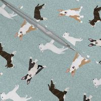 bull terrier pet quilt b dog breed fabric quilt coordinate