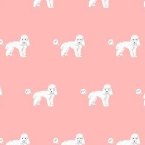 toy poodle funny dog fart fabric pets pure breed dogs pink