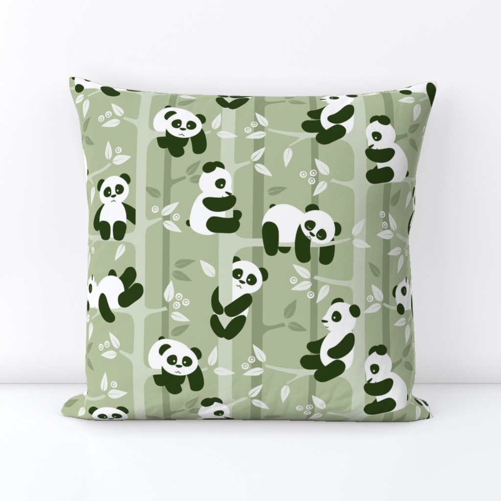 panda forest