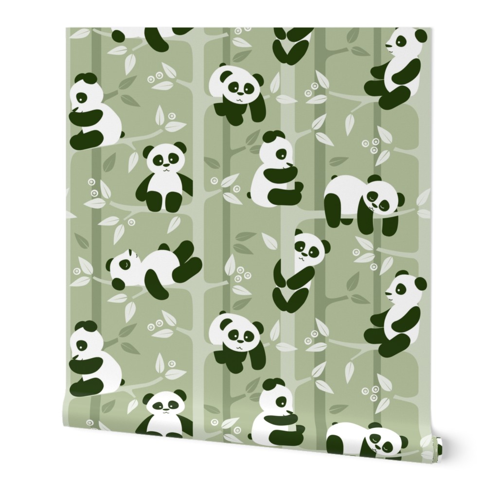 panda forest