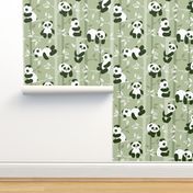 panda forest