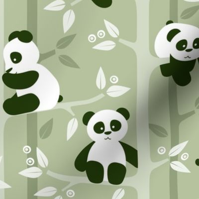 panda forest