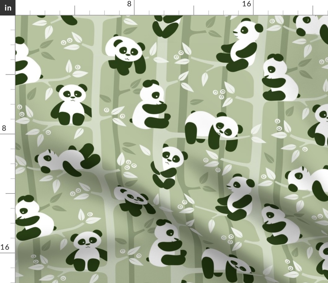 panda forest