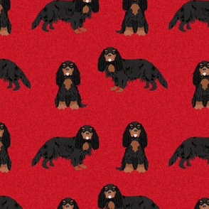 cavalier king charles spaniel black and tan pet quilt a collection coordinate