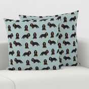 cavalier king charles spaniel black and tan pet quilt b collection coordinate