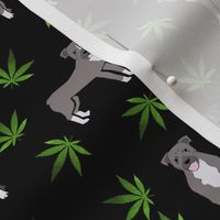 420 Pitbulls - dog pitbull, weed, pattern - black