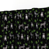 420 Pitbulls - dog pitbull, weed, pattern - black