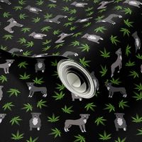 420 Pitbulls - dog pitbull, weed, pattern - black