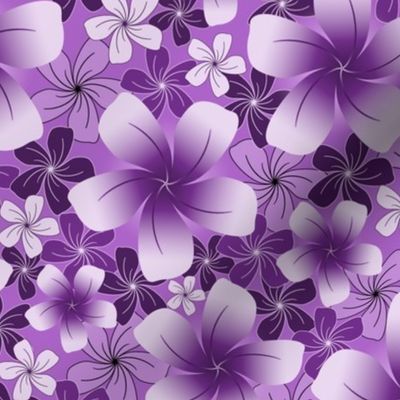 Purple Petals