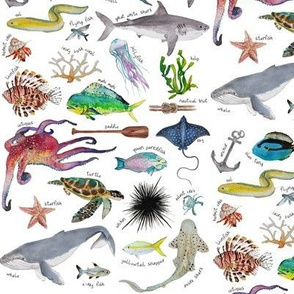 under the sea alphabet