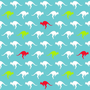 Kangaroo Party On Turquoise