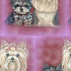 Yorkie Mom & Baby