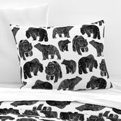 Bold Black Bear Print