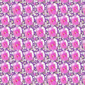 Pink pattern Lge dsrt rose