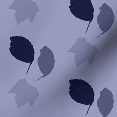 Elm + maple leaves, in Prussian Blue monochrome by Su_G_©SuSchaefer