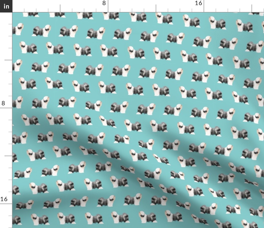 tibetan terrier dog breed fabric standing blue