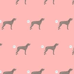 weimaraner dog fart dog breed fabric pink