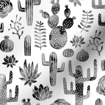 Cactus and succulent monochrome black watercolor