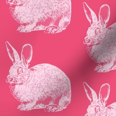 Pink Bunnies