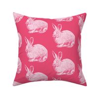 Pink Bunnies