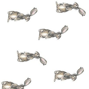 Rabbits on White - Rotated