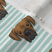 boxers on dark mint stripes - dog fabric