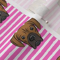 boxers on dark pink stripes - dog fabric