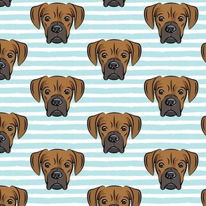 boxers on baby blue stripes - dog fabric