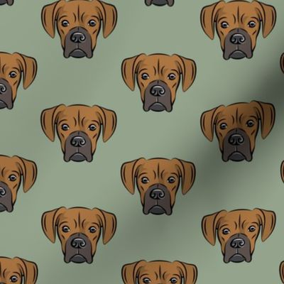 boxers on sage - dog fabric