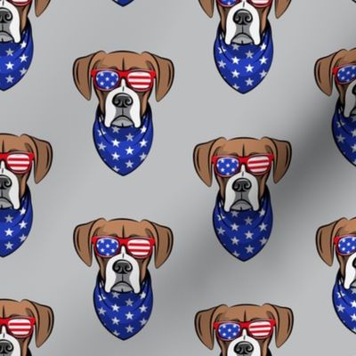 patriotic boxer on grey