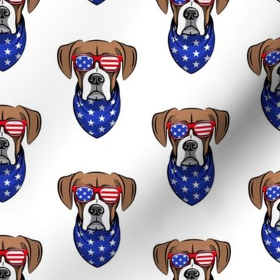 patriotic boxer on white