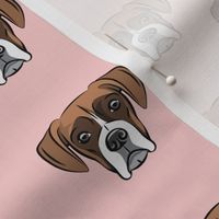 boxer w/ white on pink