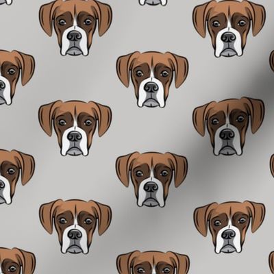 boxer face w/white on grey