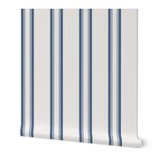 Grain Sack Stripe in French Blue