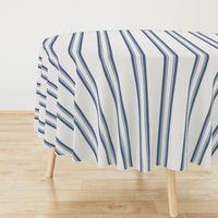 Grain Sack Stripe in French Blue