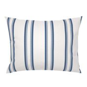 Grain Sack Stripe in French Blue